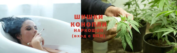 гашиш Богданович